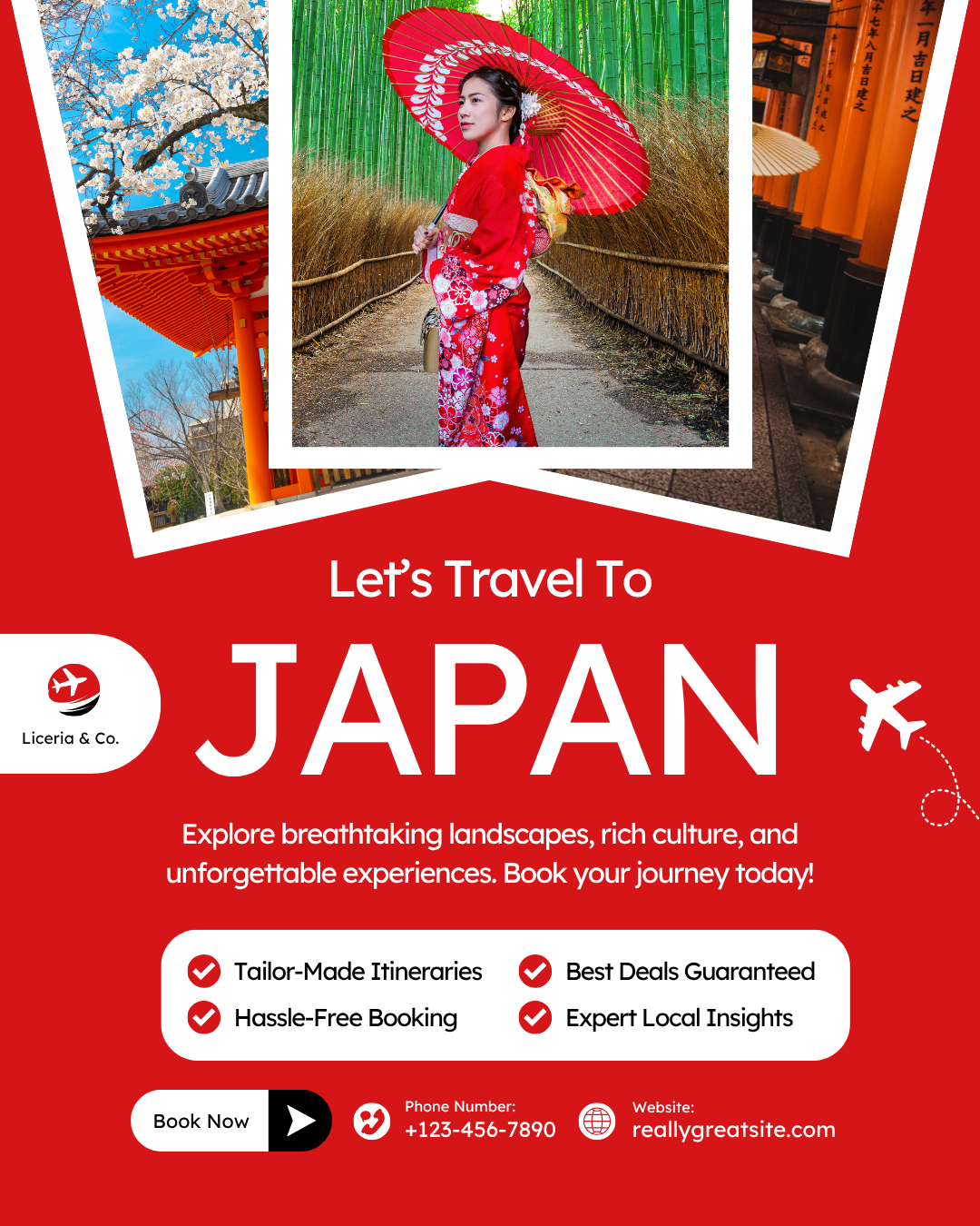 Japan Travel Guide